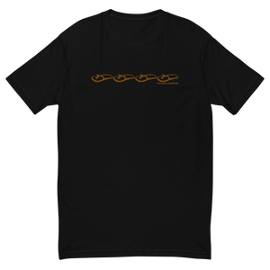 Chanclawear Brown Logo Stripe Mens Tee